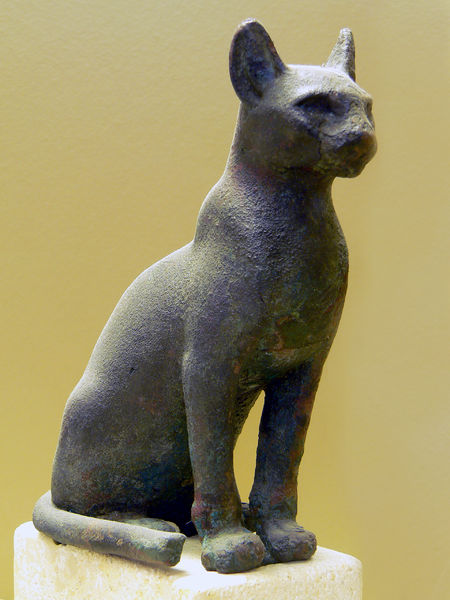 Soubor:Katze Senckenberg.jpg