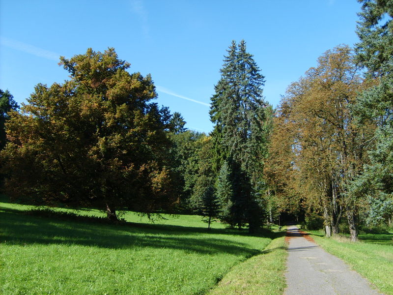 Soubor:Konopiste park.JPG