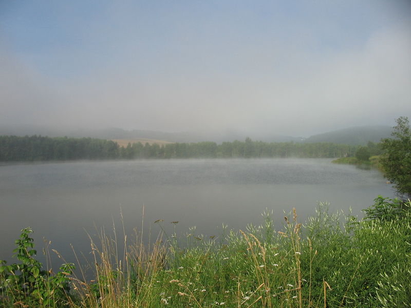 Soubor:Dražovice-rybník.jpg