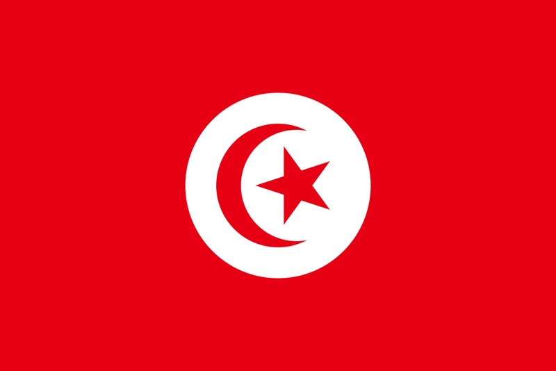 Soubor:Flag of Tunisia (1959–1999).png