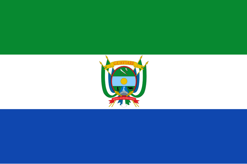 Soubor:Flag of Guaviare Department.png