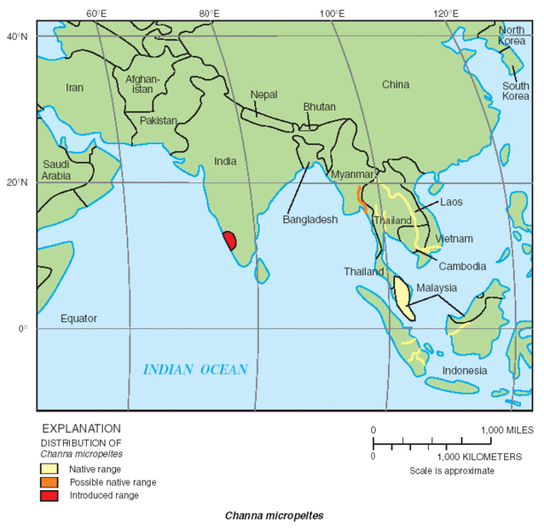 Soubor:USGS Channa micropeltes distribution.gif