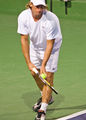 David Nalbandian prepares to serve in a doubles match.jpg