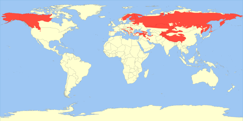 Soubor:Ursus arctos range map.png