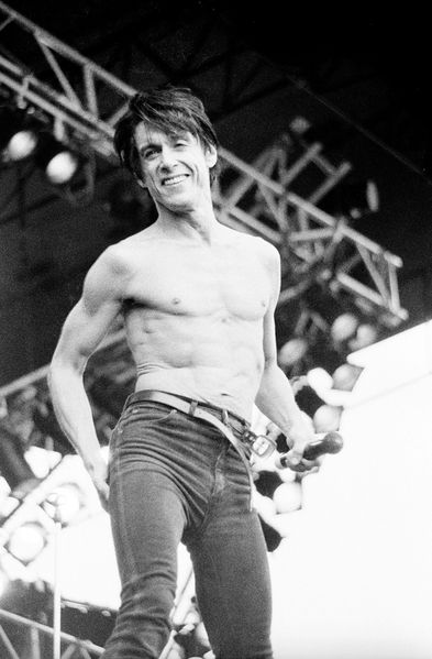 Soubor:Iggy Pop - pinkpop87.jpg