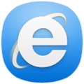 ServianaPlus-InternetExplorer.png