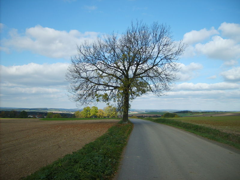 Soubor:Dolnikralovice scenery.JPG