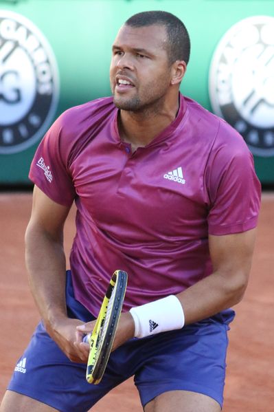 Soubor:Tsonga RG21 (46) (51376816939).jpg