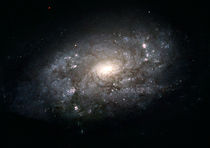 NGC 3949.jpg