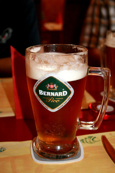 Soubor:Beer Bernard 1.jpg