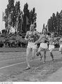 Fotothek df roe-neg 0006305 010 Emil Zátopek bei einem Wettkampf.jpg