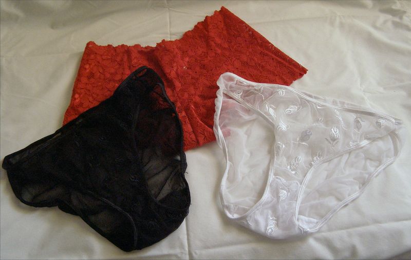 Soubor:Knickers1.jpg