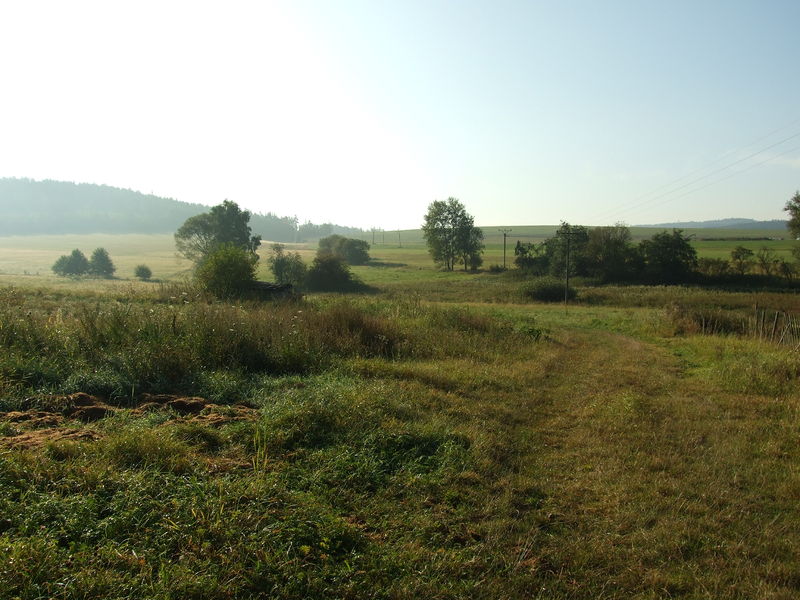 Soubor:Vojníkov, louka nad obcí.JPG