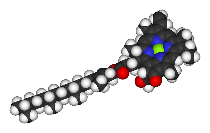 Soubor:Chlorophyll-a-3D-vdW.png