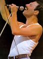 Freddie Mercury Flickr.jpg