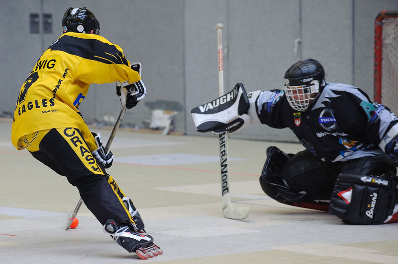 Soubor:Torsituation beim Inline-Skaterhockey.jpg