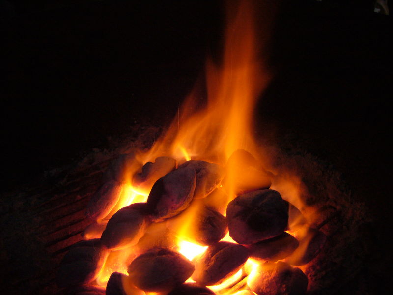 Soubor:Coal and Fire.JPG