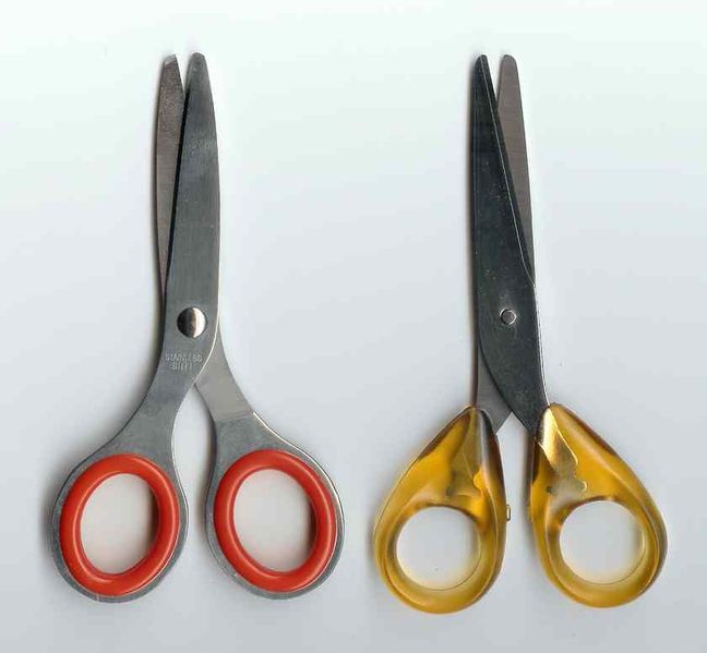 Soubor:2scissors.jpg