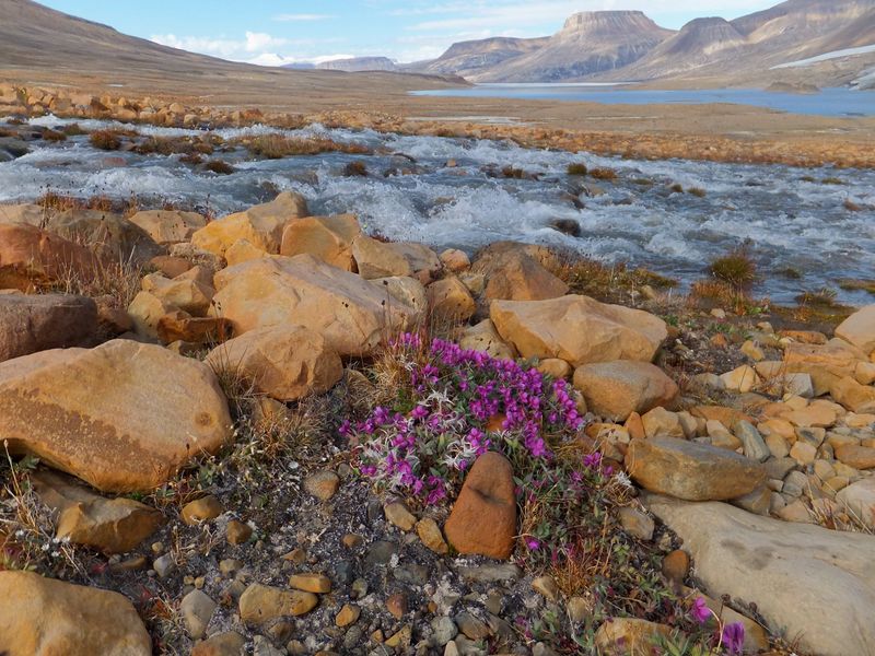 Soubor:River Beauty.jpg