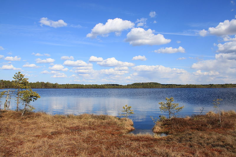 Soubor:Kakerdi järv Kakerdaja raba.JPG