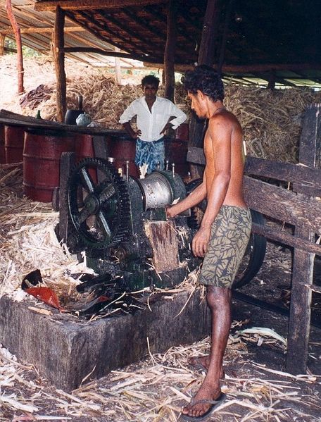 Soubor:Srilanka coconut fibre.jpg