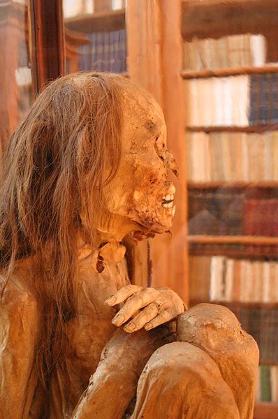 Soubor:Peruvian mummy.jpg