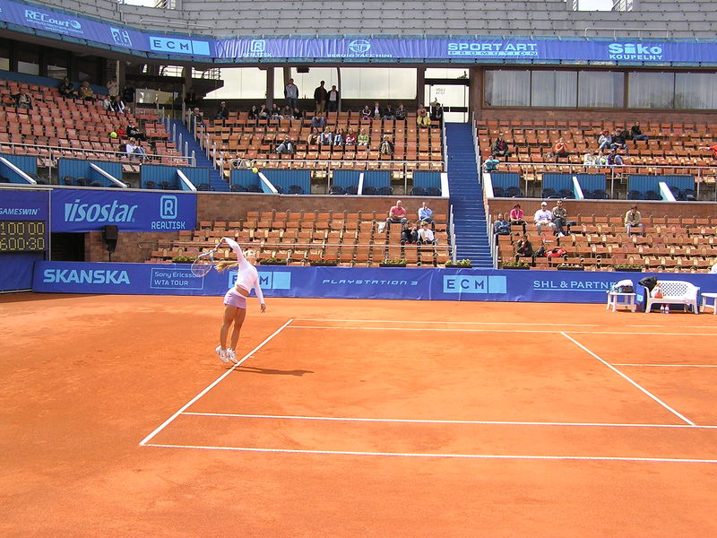 Soubor:DCibulkova-ECM09.jpg