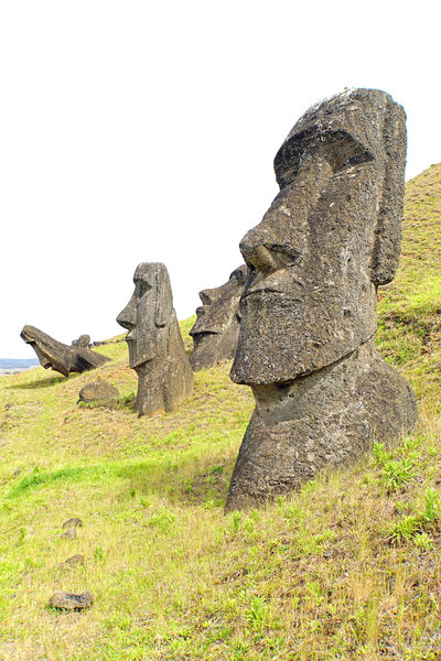 Soubor:Chile-03083-Many Heads-DJFlickr.jpg