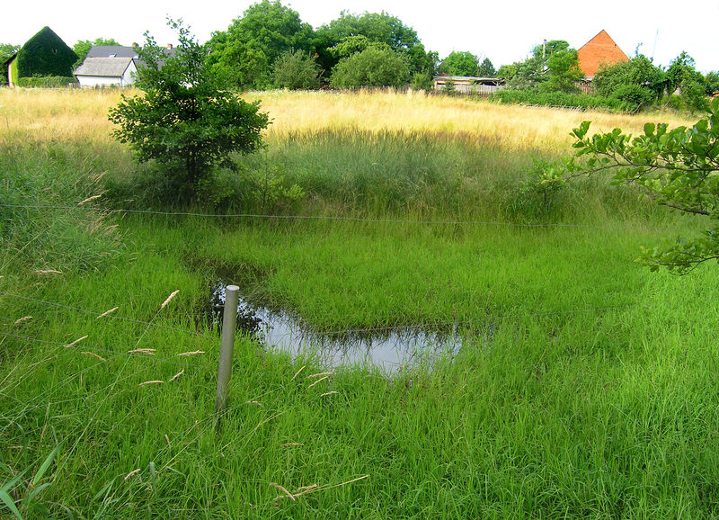 Soubor:Pohoří, Skalsko, Turyňský creek.jpg