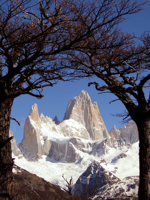 Fitz Roy framed trees (colour balans).jpg