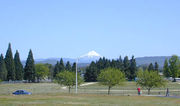 Mt McLoughlin Medford.jpg