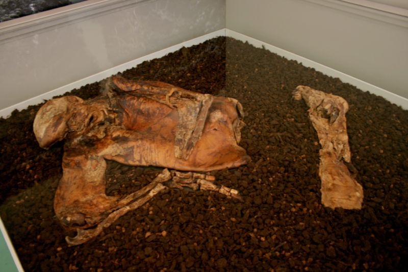 Soubor:Lindow Man 1.jpg