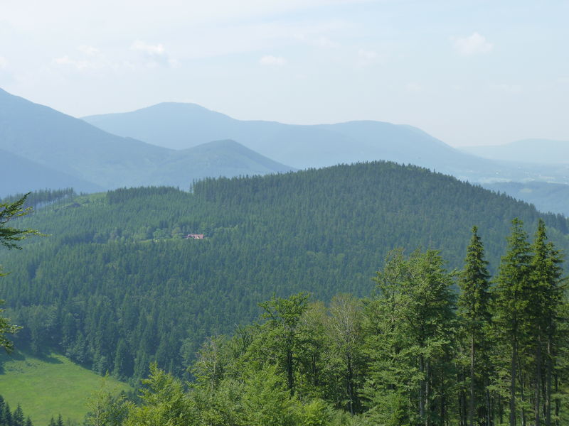 Soubor:Smrčina, Moravskoslezské Beskydy.JPG