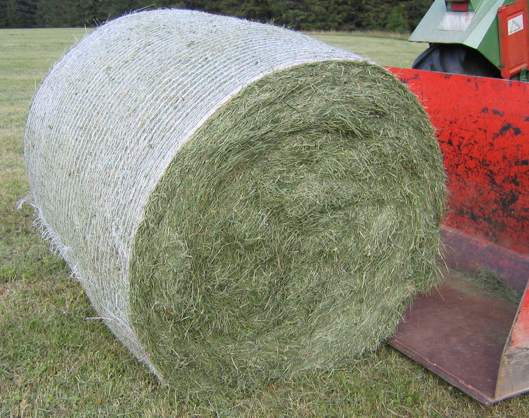 Soubor:Round bale 3066.jpg