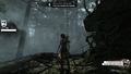 Tomb Raider GOTY-2013-015.png