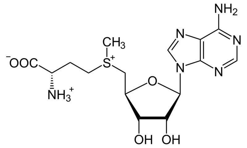 Soubor:S-Adenosyl-L-methionin.png