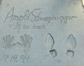 ArnoldSchwarzeneggerGraumanHandFootprintsOct10.jpg