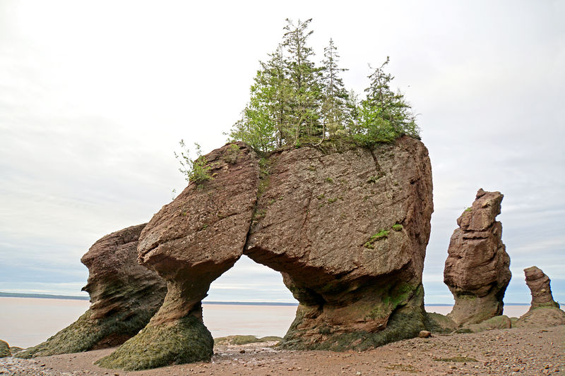 Soubor:Hopewell Rocks-NB-00047-DJFlickr.jpg