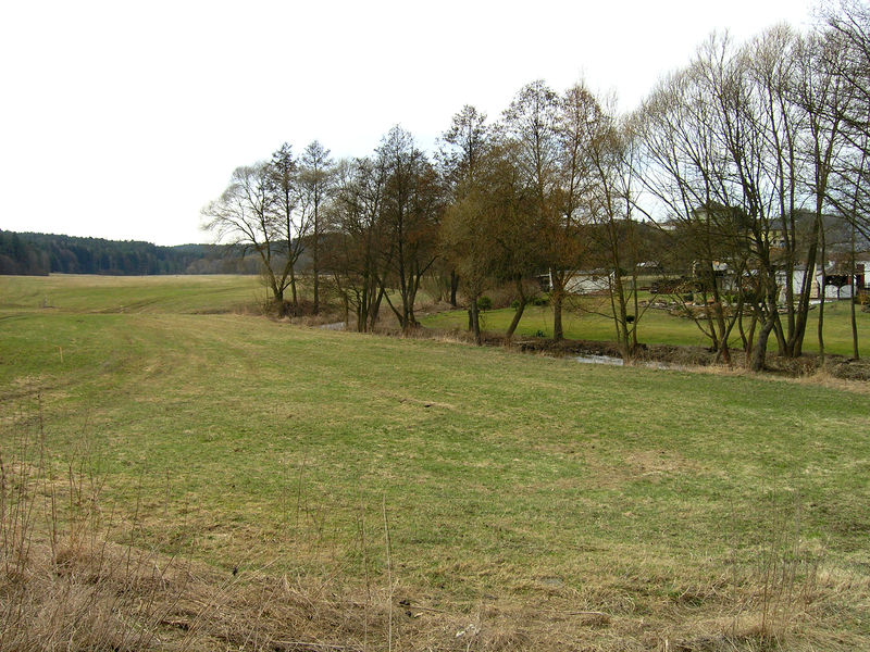 Soubor:Hromnice, Třemošná River valley.jpg