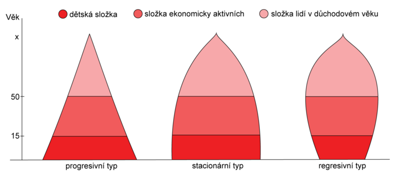 Soubor:Typy vekovych pyramid.png