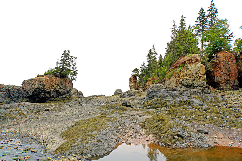 Soubor:Baxters Harbour Shoreline-DSC07938-DJFlickr.jpg