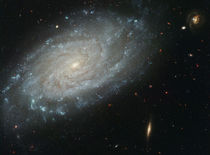 NGC 3370.jpg