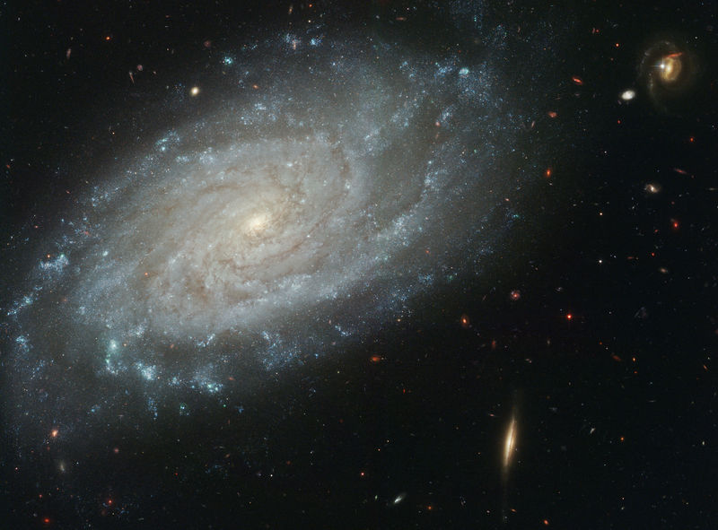 Soubor:NGC 3370.jpg