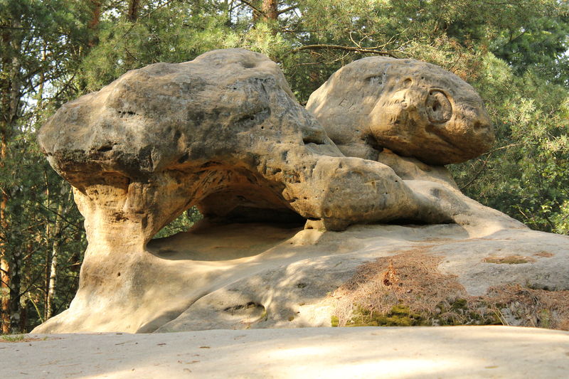 Soubor:Turtle Rock, Borek.jpg