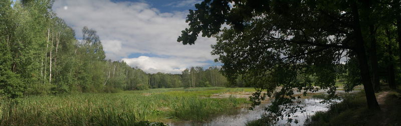 Soubor:Dolni kokotsky rybnik2.jpg