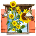 Flowers - Sunflowers Window.png