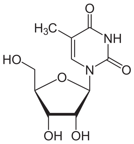 Soubor:5-Methyluridin.png