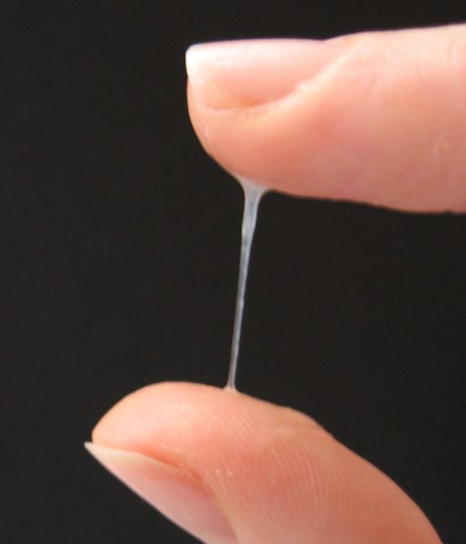 Soubor:Cervical mucus1.jpg