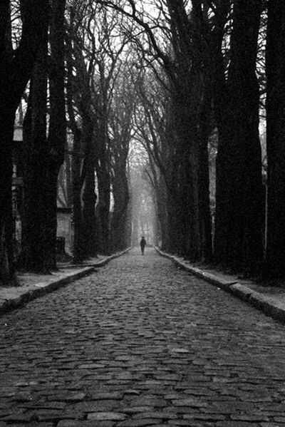 Soubor:Père-Lachaise avenue fog.jpg