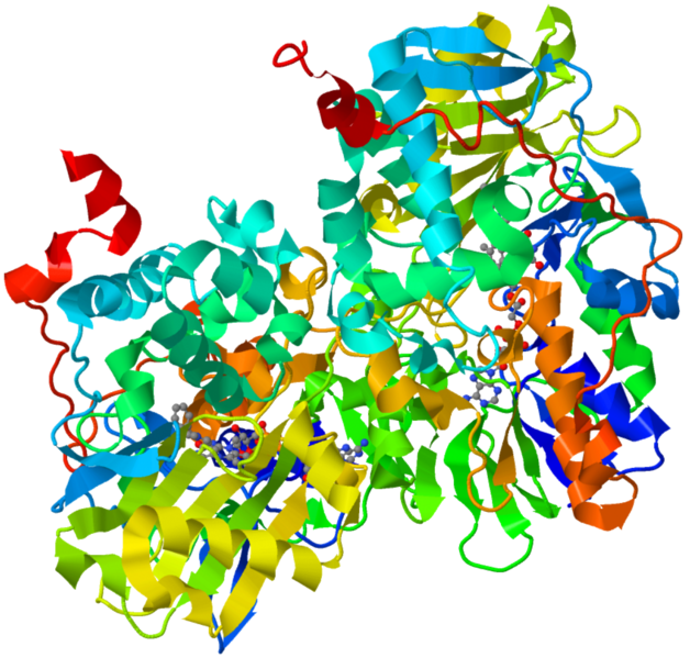 Soubor:MonoamineOxidase-1GOS.png